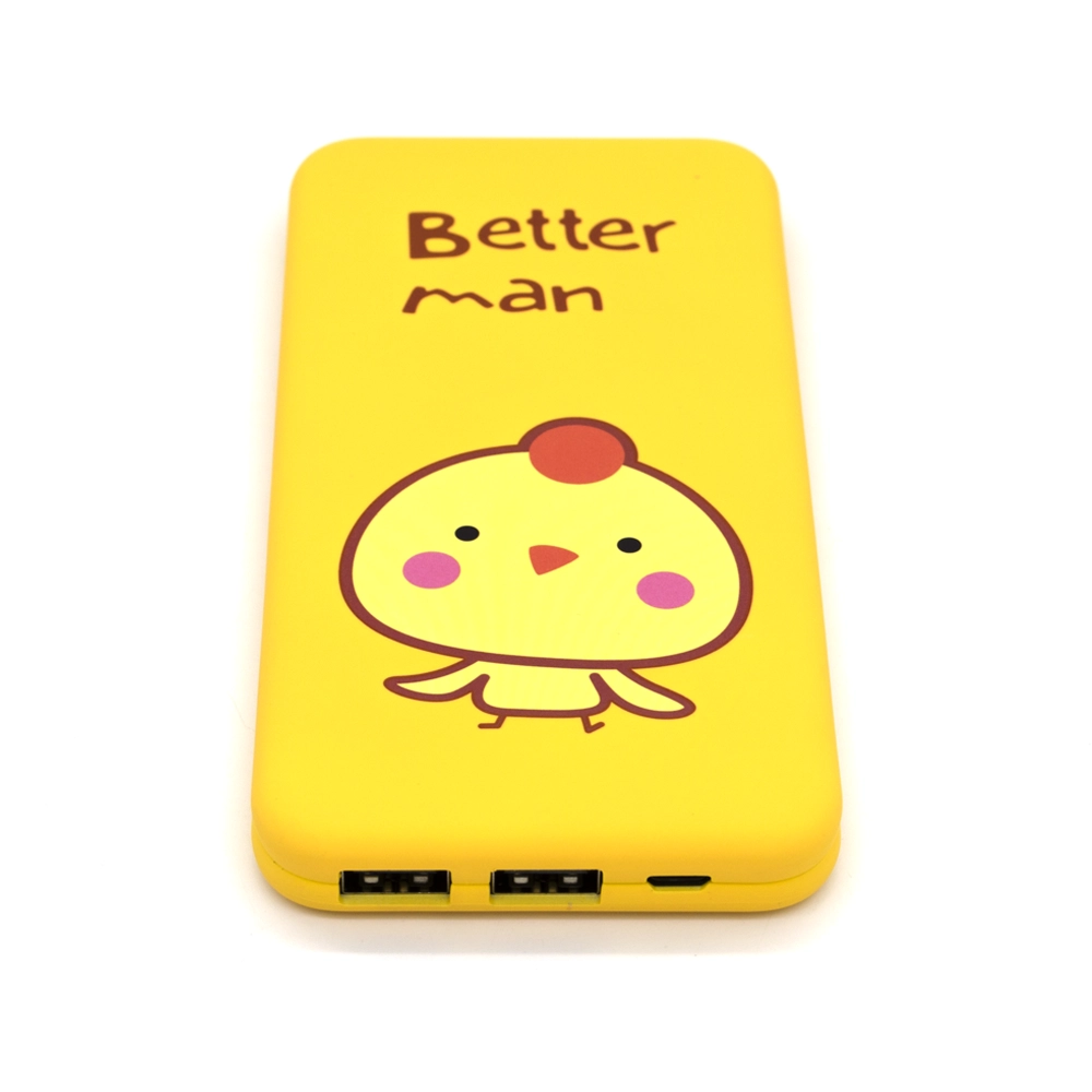 Power-Bank-Puridea-S2-10.000-mAh-2